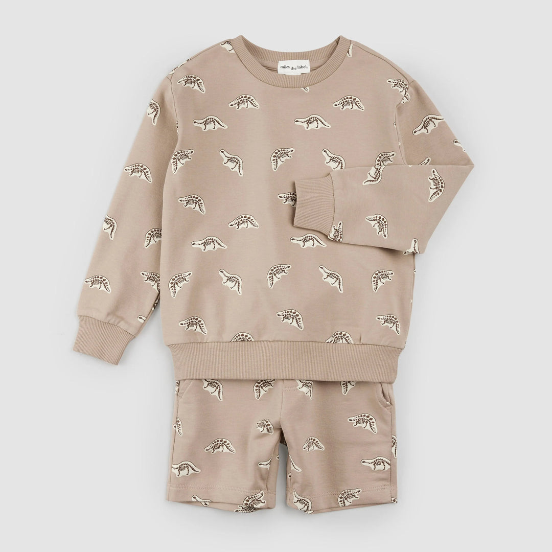 Ensemble Fossiles de dino