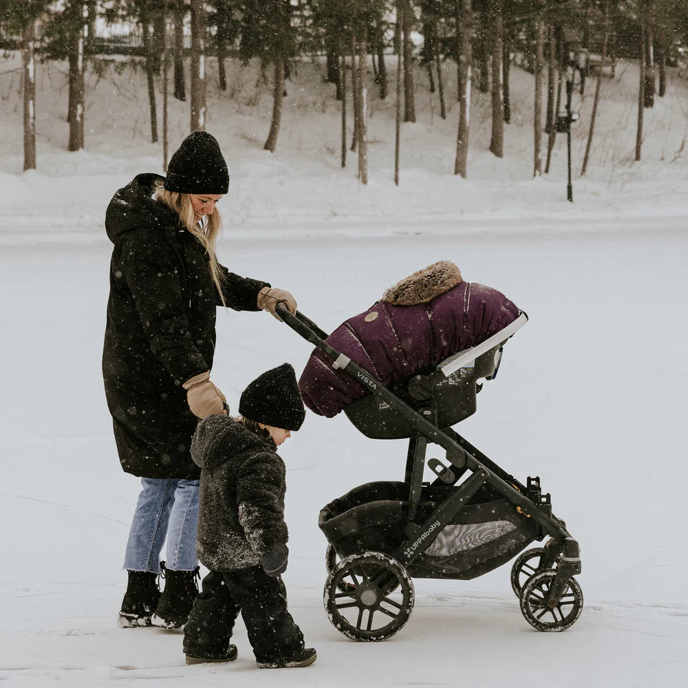 Housse pour l'hiver - Prune