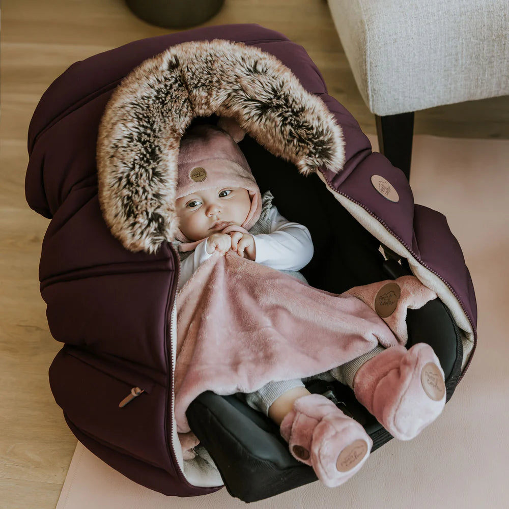 Housse pour l'hiver - Prune