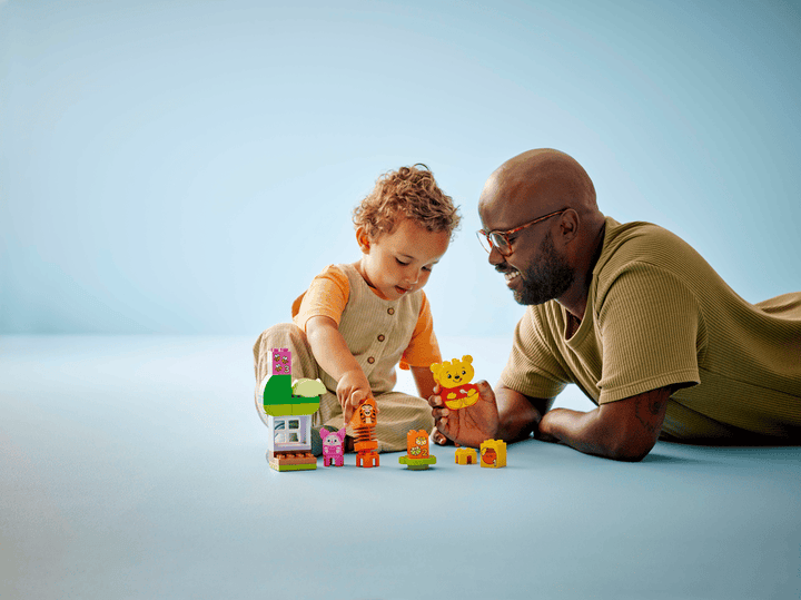 Duplo - Winnie the Pooh's Birthday Party
