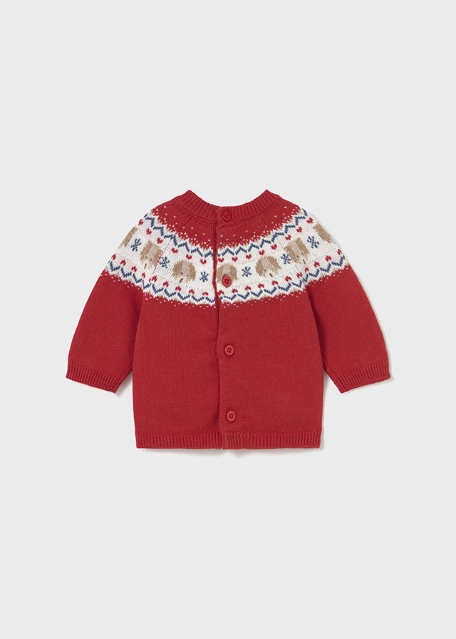 Chandail en tricot - Chien