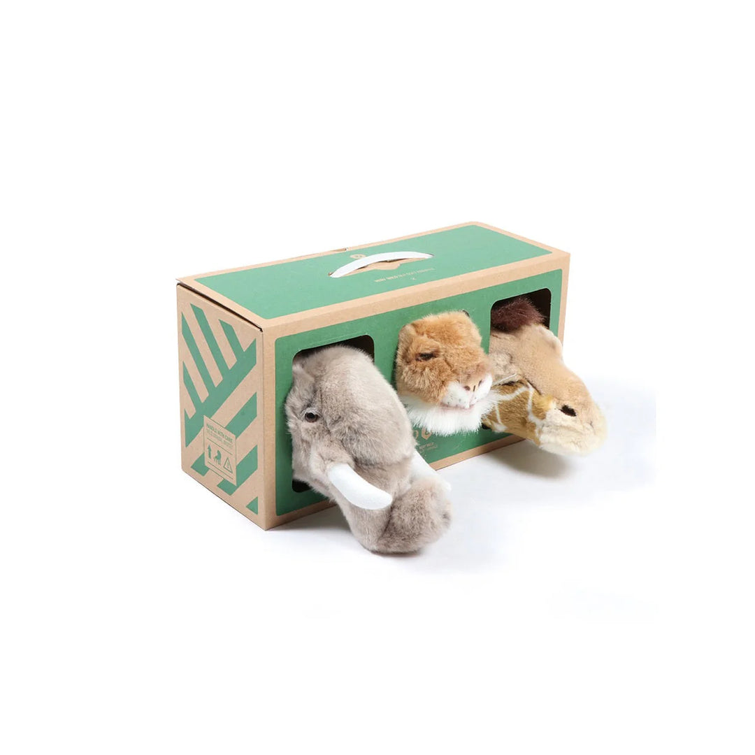 Ensemble de 3 petites têtes - Safari