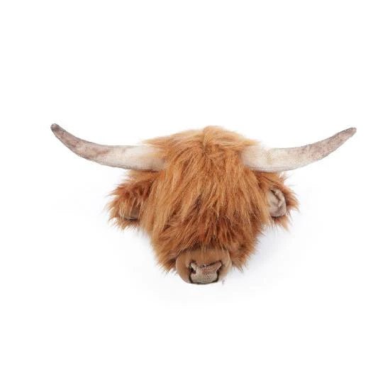 Tête de vache Highland - Nicolas