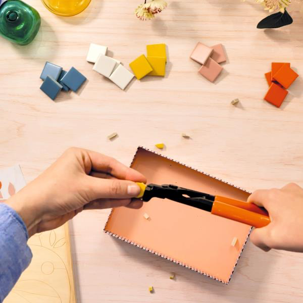 Atelier 72 : Mosaïque - Libellule