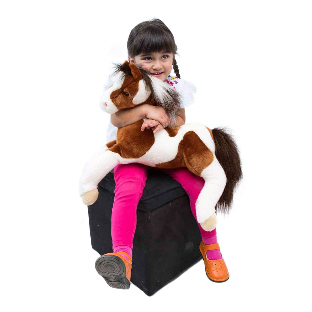 Peluche - Natches le cheval Paint Horse