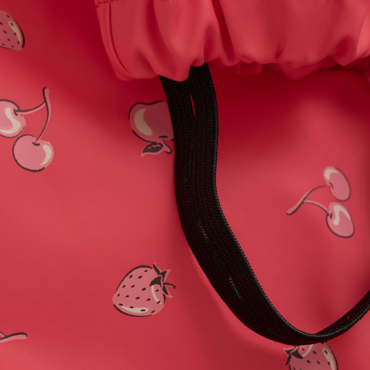 Ensemble de pluie - Petits fruits