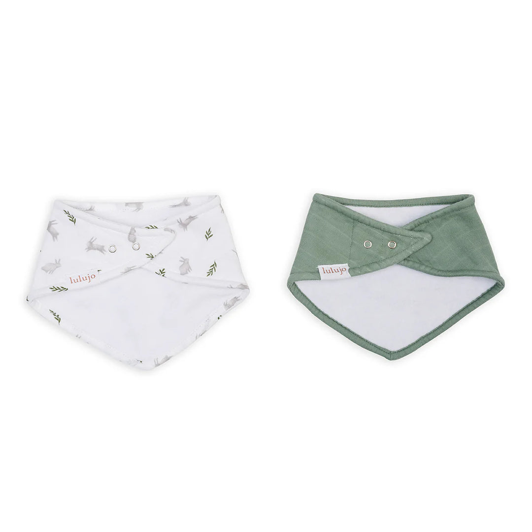 Lot de 2 bavoirs - Lapin & Fougère