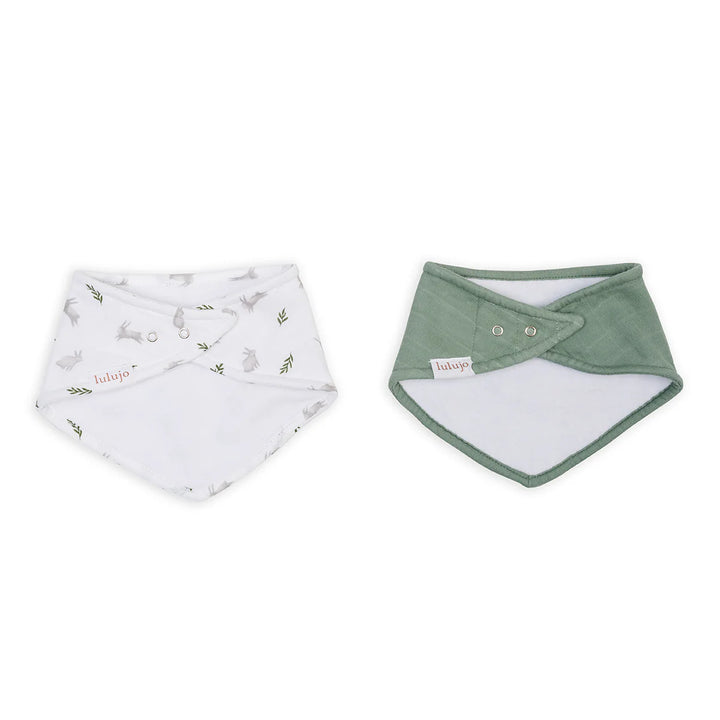 Lot de 2 bavoirs - Lapin & Fougère