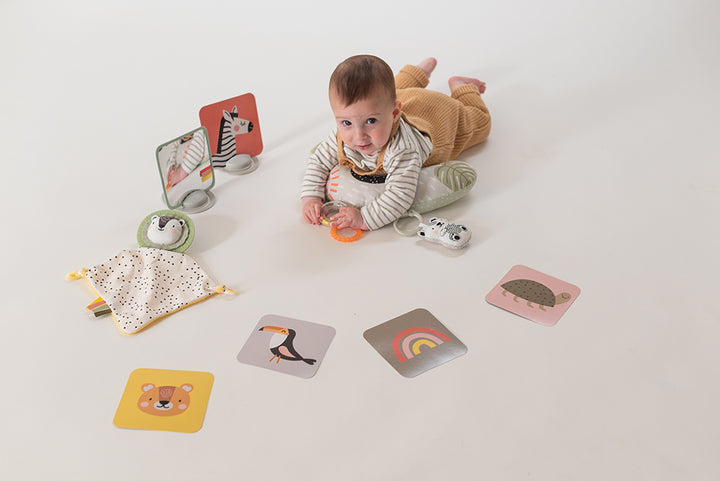 Ensemble de départ 12 pièces