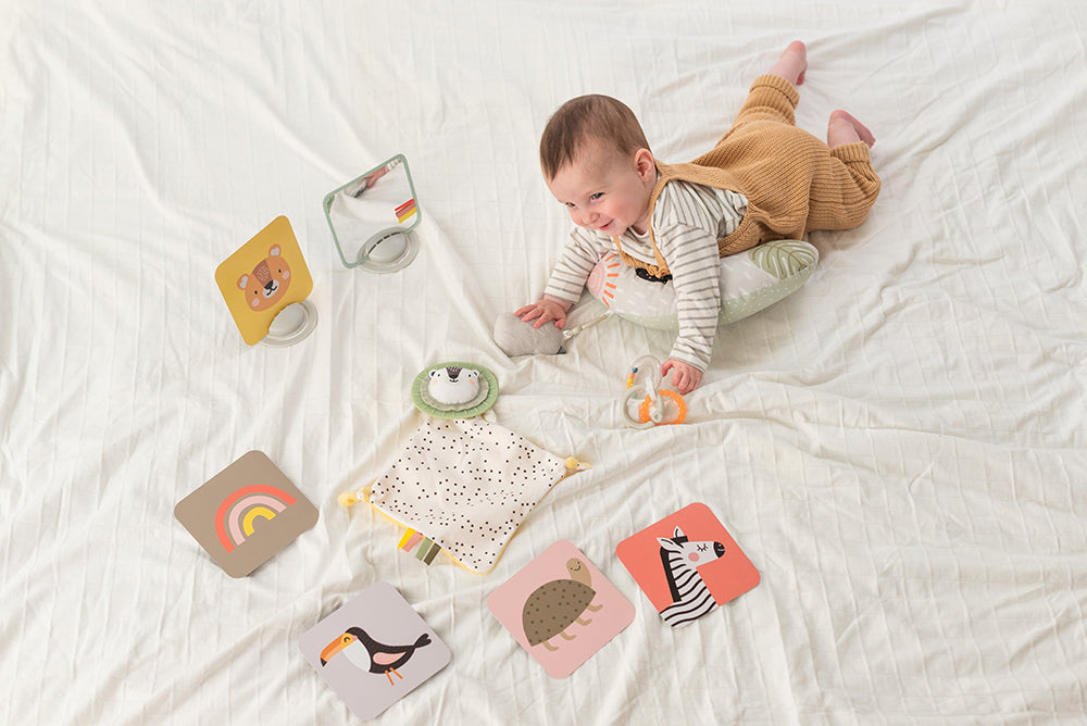 Ensemble de départ 12 pièces