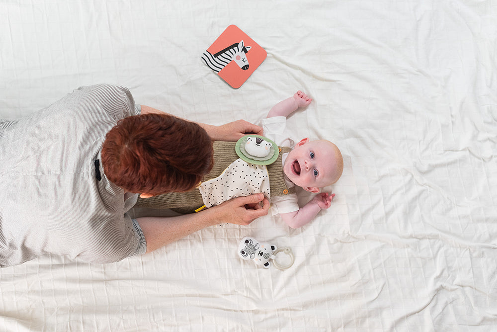 Ensemble de départ 12 pièces