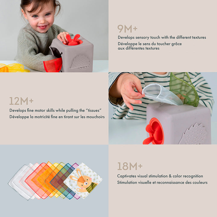 Boîte à foulards Pop-up