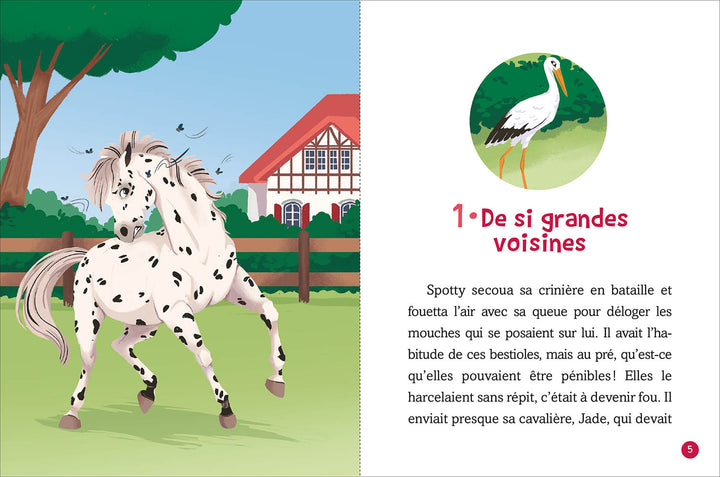 Jade et les chevaux : N° 2 - Frayeur au haras