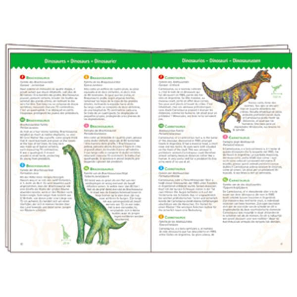 Casse-tête d’observation - Dinosaures (100 mcx)