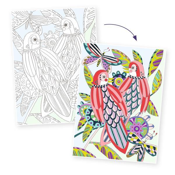 Colouring Gallery - Oiseaux