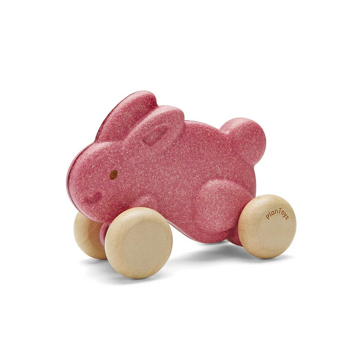 Lapin de course Rose