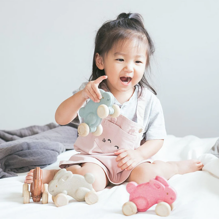 Lapin de course Bleu