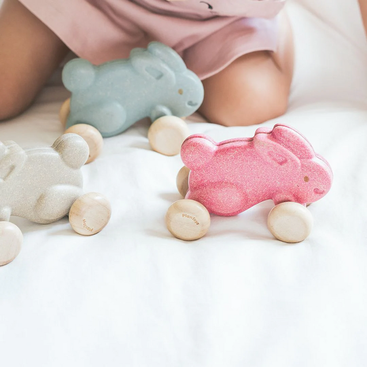 Lapin de course Bleu