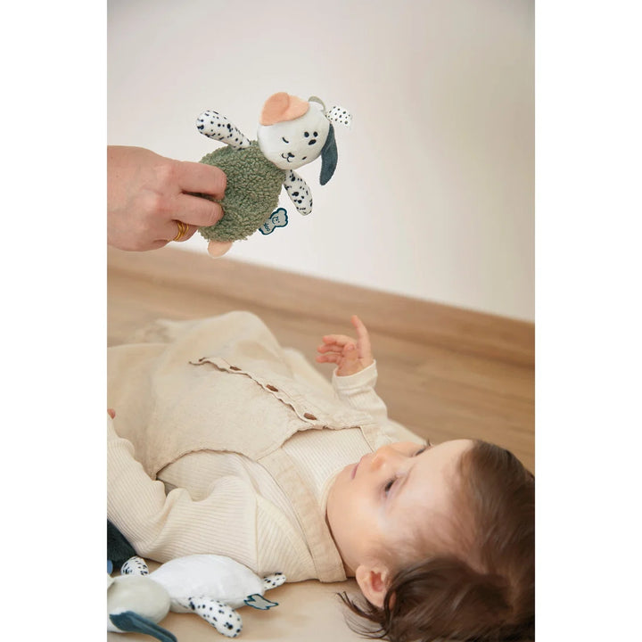 Stimuli : Doudou sensorielle - Chiens