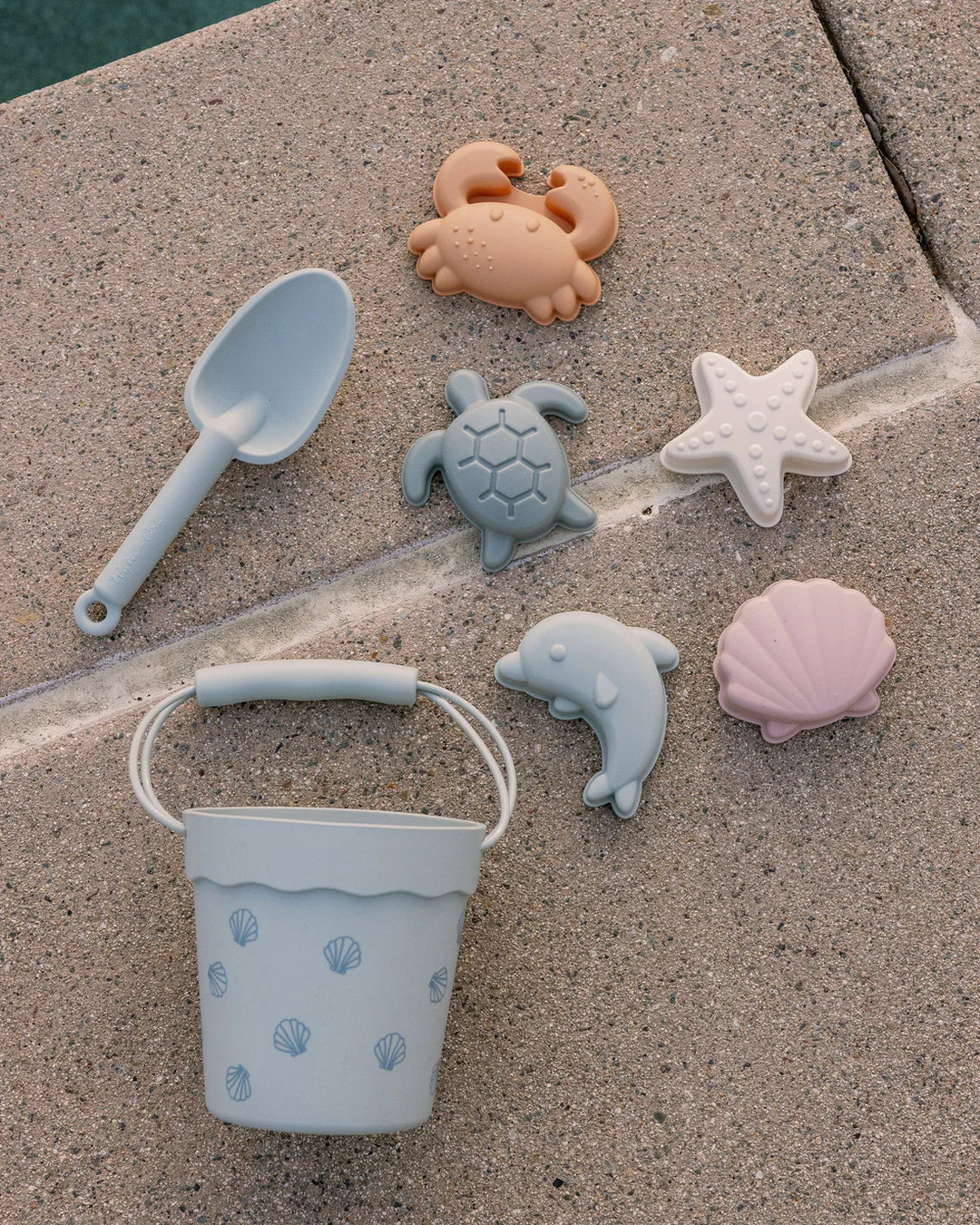Jouets de plage - Coquillages