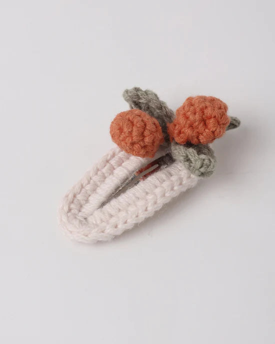Ensemble de 2 pinces au crochet - Shell