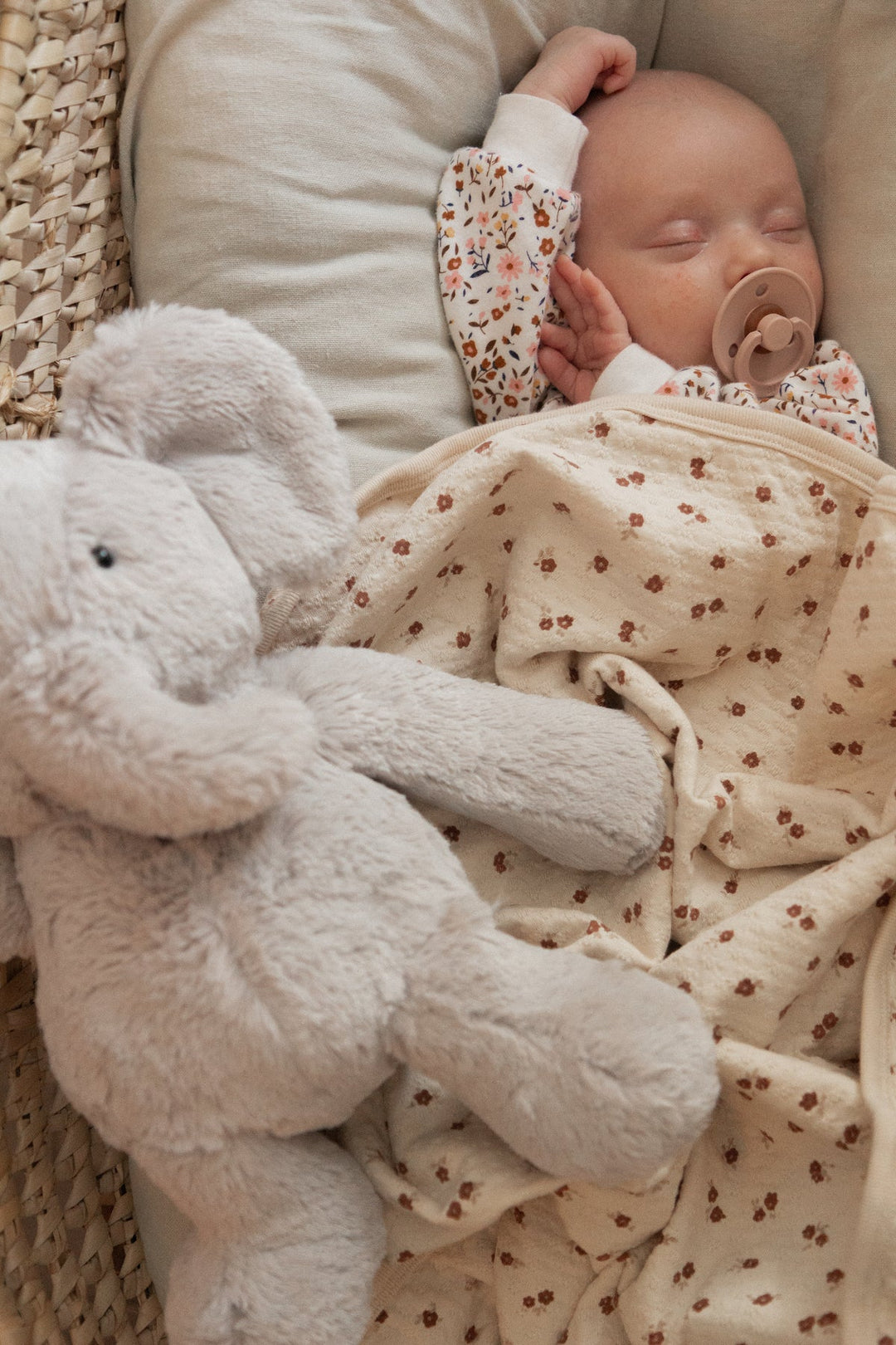 Peluche - Olive l'éléphant