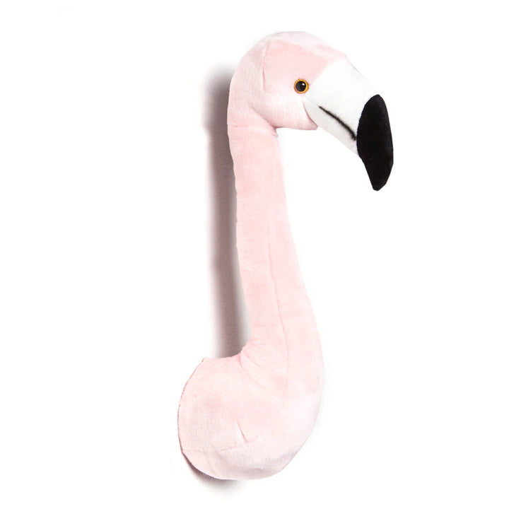 Tête de flamant rose - Sophia