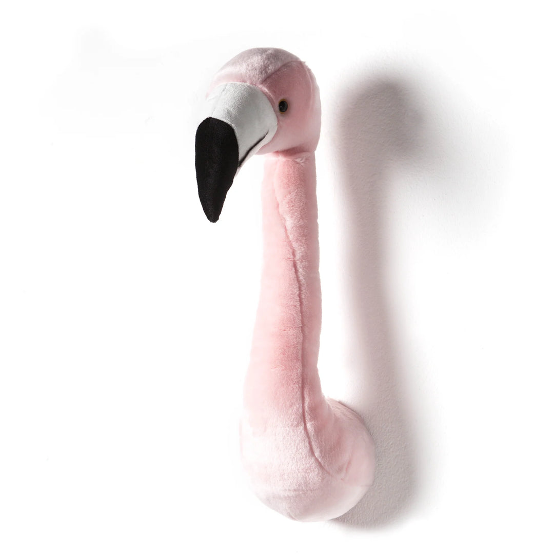 Tête de flamant rose - Sophia