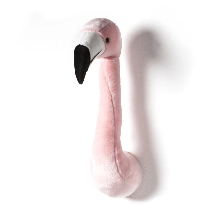 Tête de flamant rose - Sophia