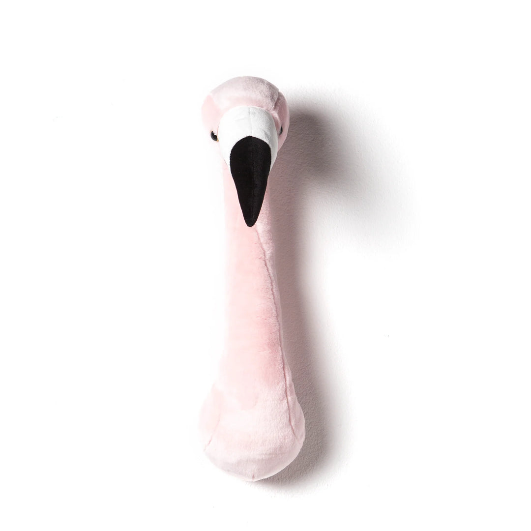 Tête de flamant rose - Sophia