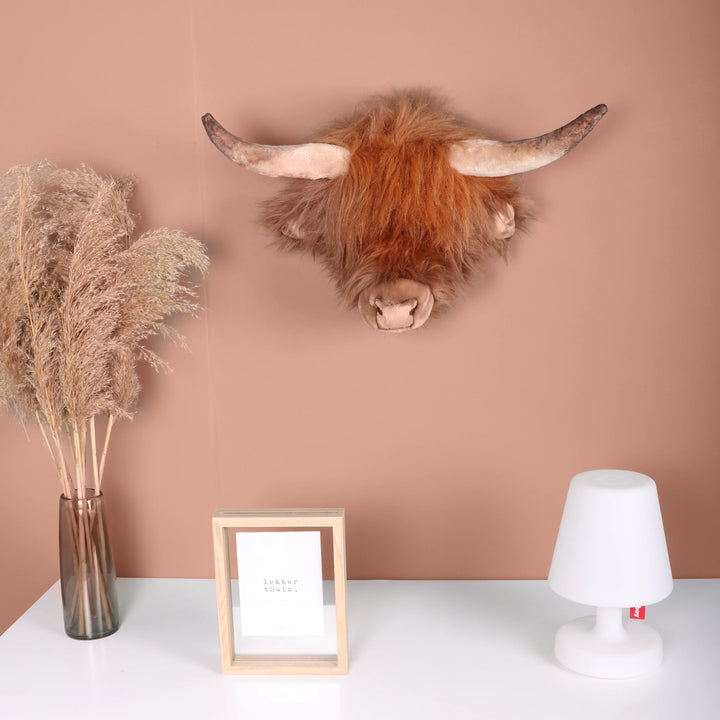 Tête de vache Highland - Nicolas