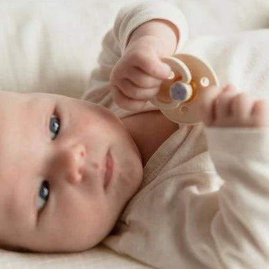 Suces Studio (ens. de 2) - Jasmine Ivory Mix