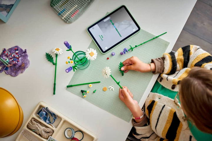 The Botanical Collection - Les marguerites #11508