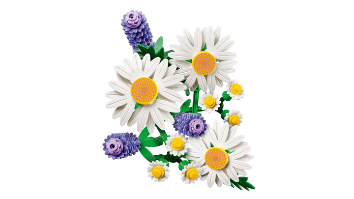 The Botanical Collection - Les marguerites #11508