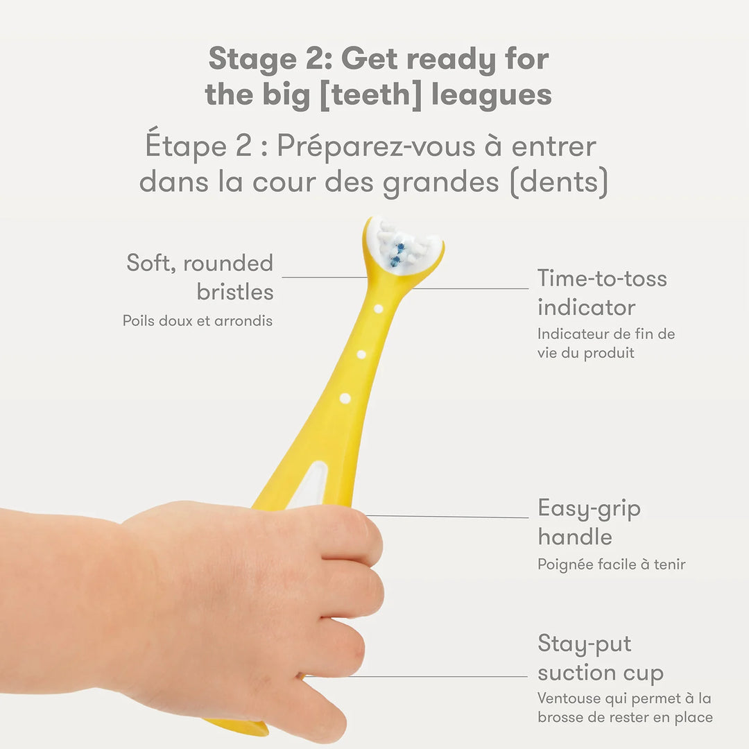 Ensemble de brosses à dents d'apprentissage Grow-With-Me