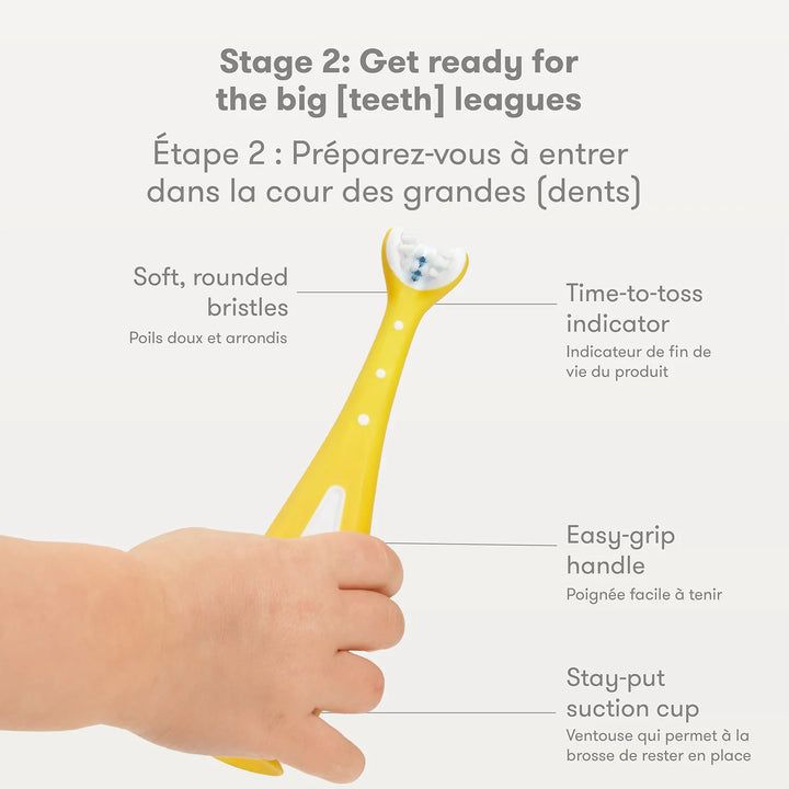 Ensemble de brosses à dents d'apprentissage Grow-With-Me