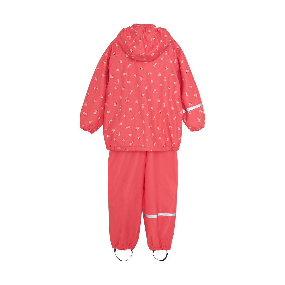 Ensemble de pluie - Petits fruits