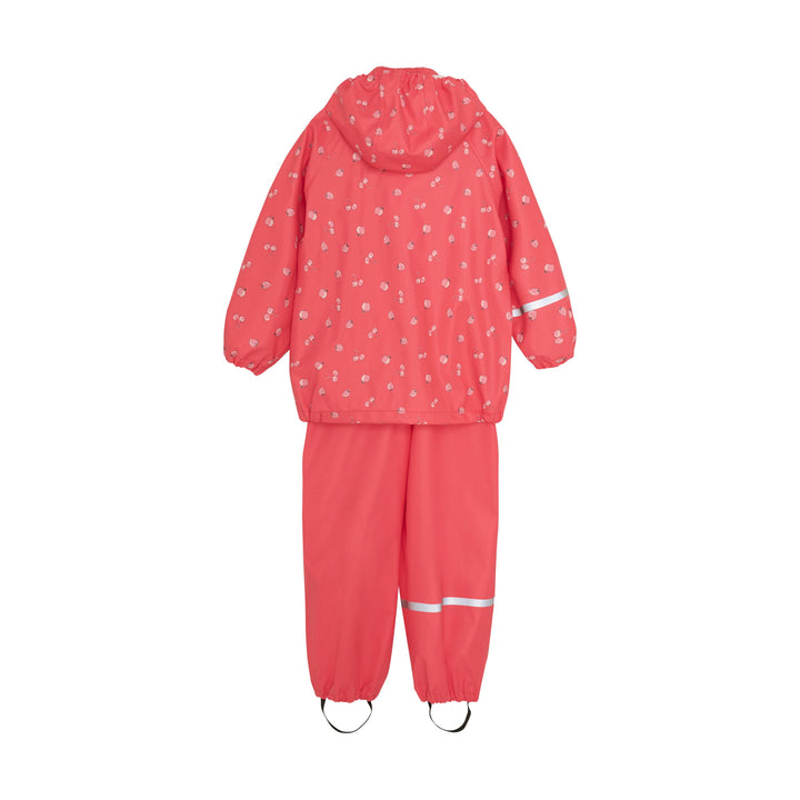 Ensemble de pluie - Petits fruits