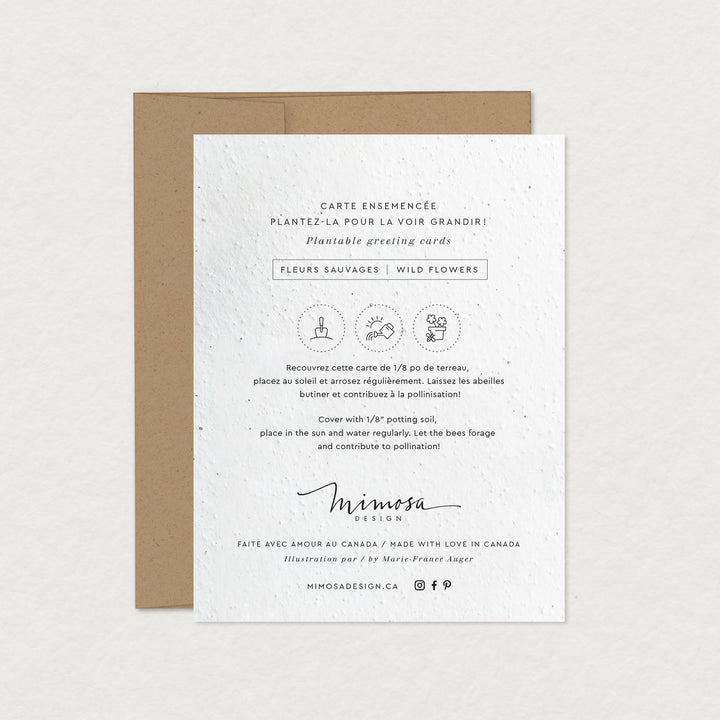 Carte ensemencée Petit paquet d’amour