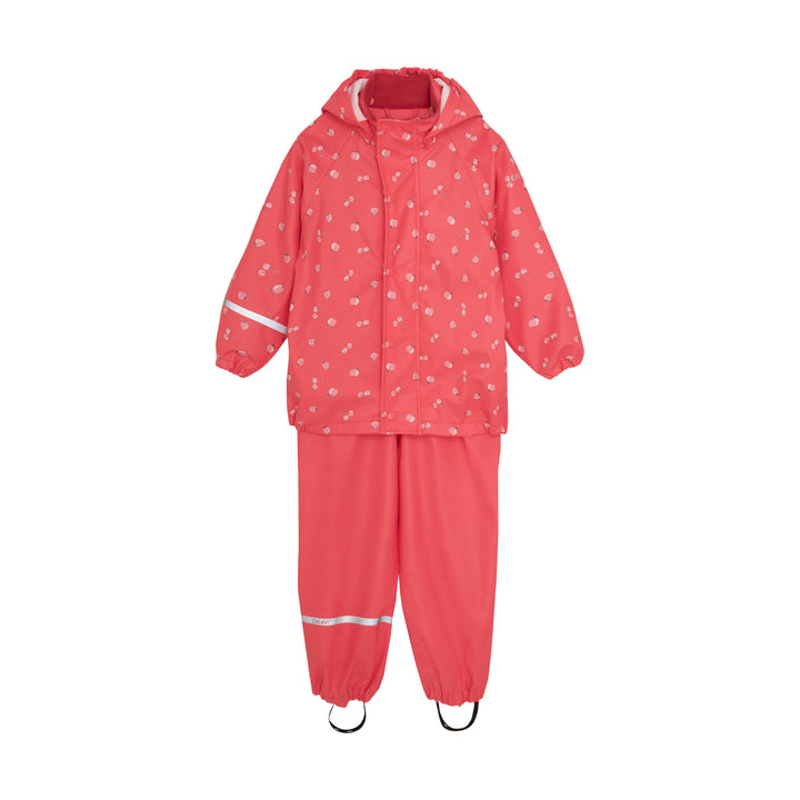 Ensemble de pluie - Petits fruits