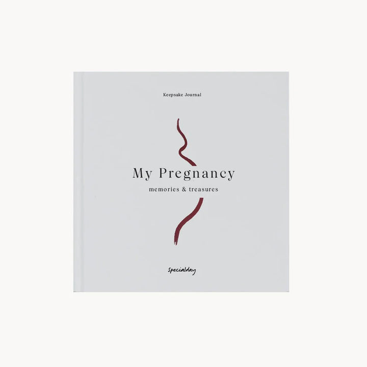 My Pregnancy